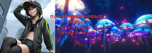 индика Алексеевка