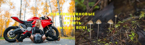 тгк Алексин